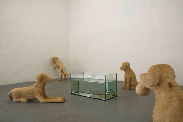 eel_and_dogs_2